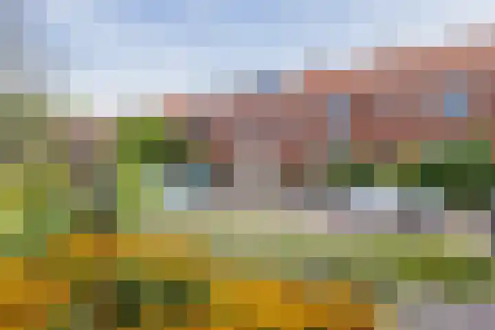 Huizingastraat 18 Leiden thumbnail 44