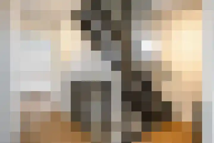 Huizingerweg 22 Westeremden thumbnail 35