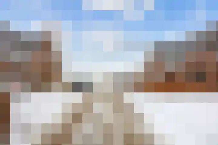 Huizingerweg 22 Westeremden thumbnail 4