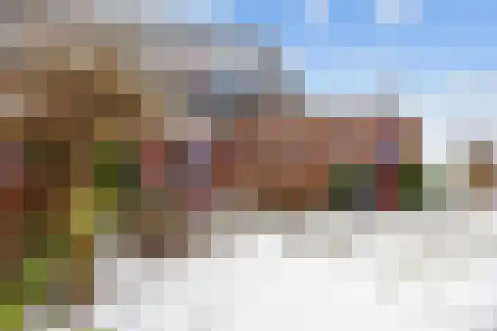 Huizingerweg 22 Westeremden thumbnail 54