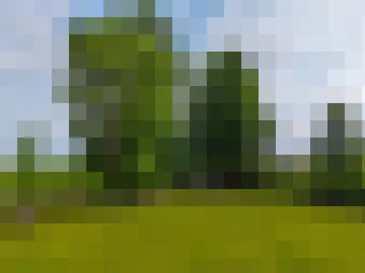Huizingerweg 62 Westeremden thumbnail 10