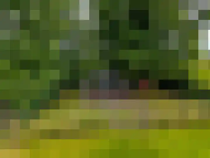 Huizingerweg 62 Westeremden thumbnail 11