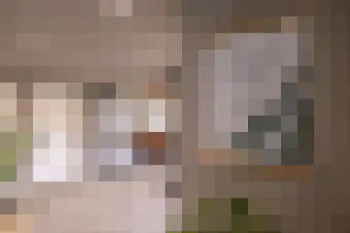 Huizingerweg 62 Westeremden thumbnail 13