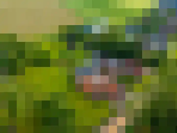 Huizingerweg 62 Westeremden thumbnail 5