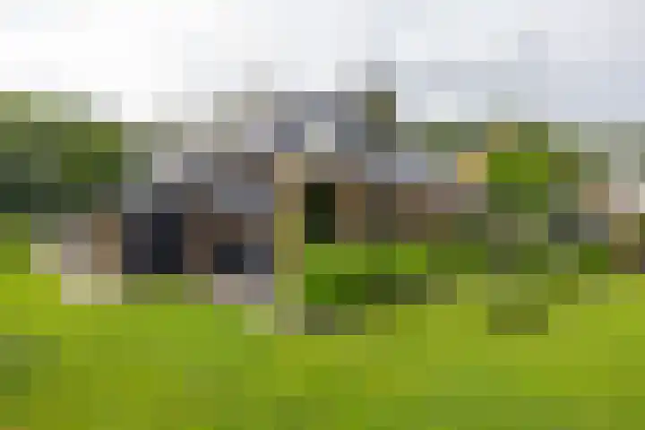 Huizingerweg 62 Westeremden thumbnail 52