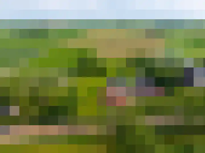 Huizingerweg 62 Westeremden thumbnail 6