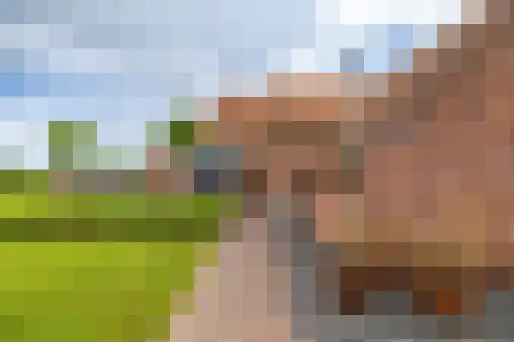 Huizingerweg 62 Westeremden thumbnail 61