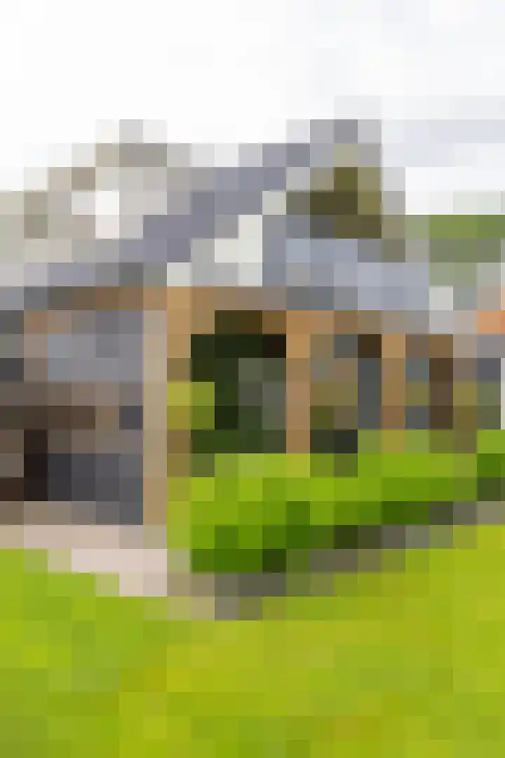Huizingerweg 62 Westeremden thumbnail 68