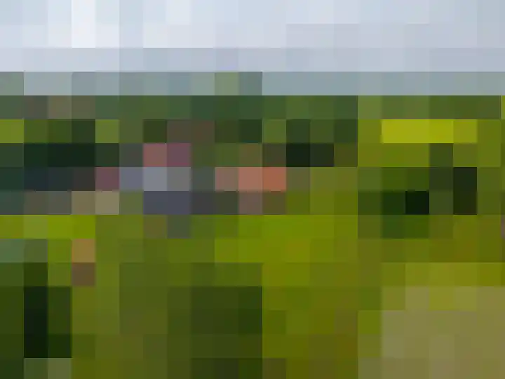 Huizingerweg 62 Westeremden thumbnail 8
