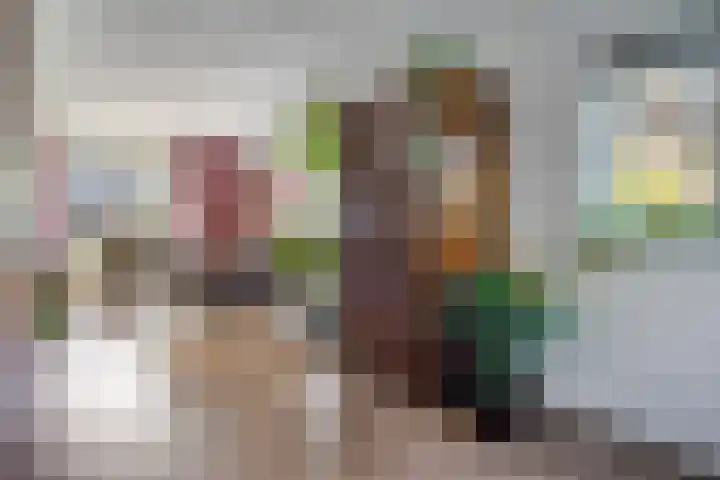Huizingsbrinkweg 13 Emmen thumbnail 17
