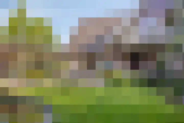 Huizingsbrinkweg 13 Emmen thumbnail 37