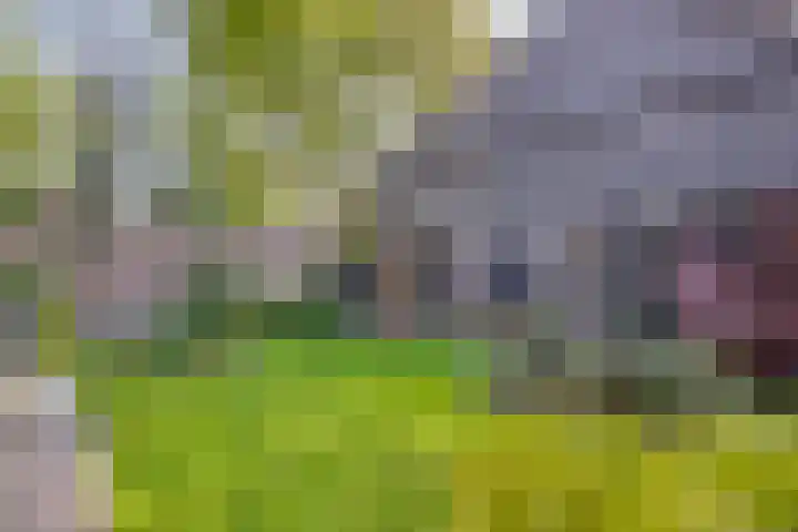 Huizingsbrinkweg 13 Emmen thumbnail 38