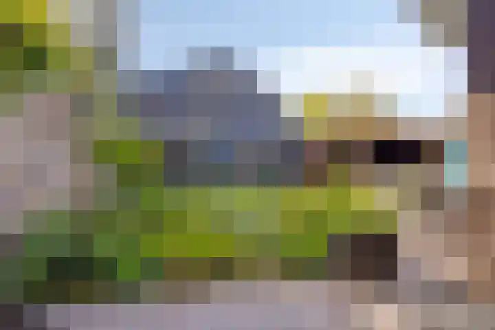 Huizingsbrinkweg 13 Emmen thumbnail 42
