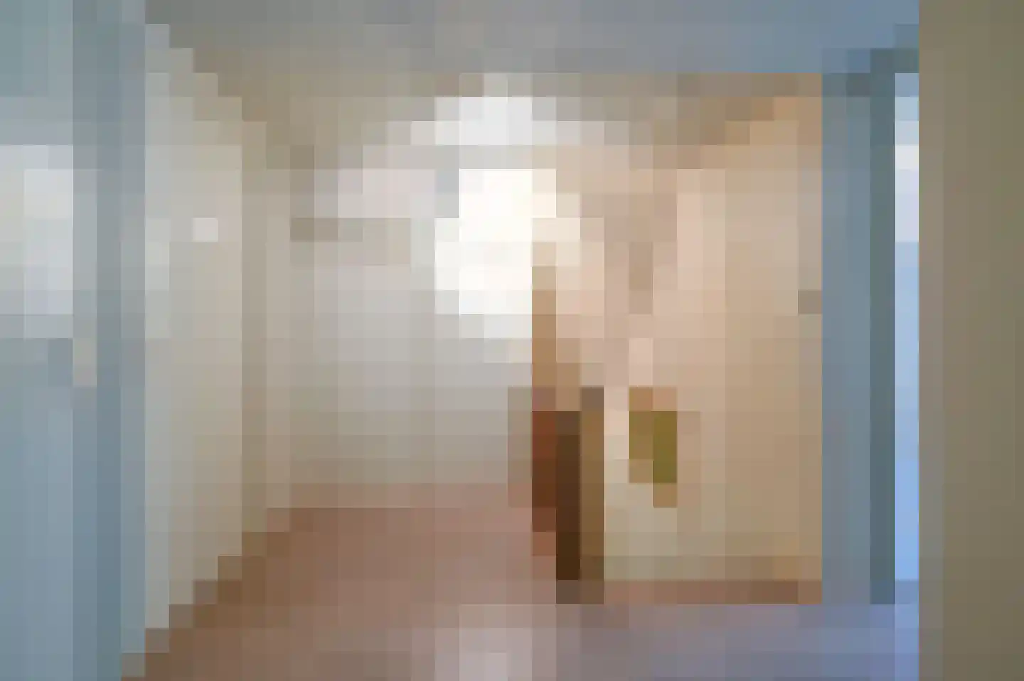 Huizingsbrinkweg 64 Emmen thumbnail 34