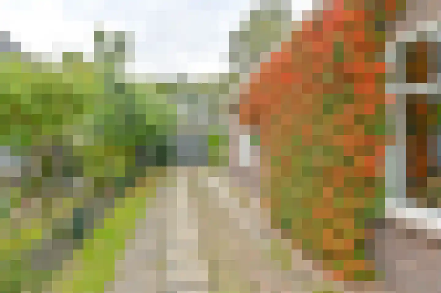 Huizingsbrinkweg 64 Emmen thumbnail 4