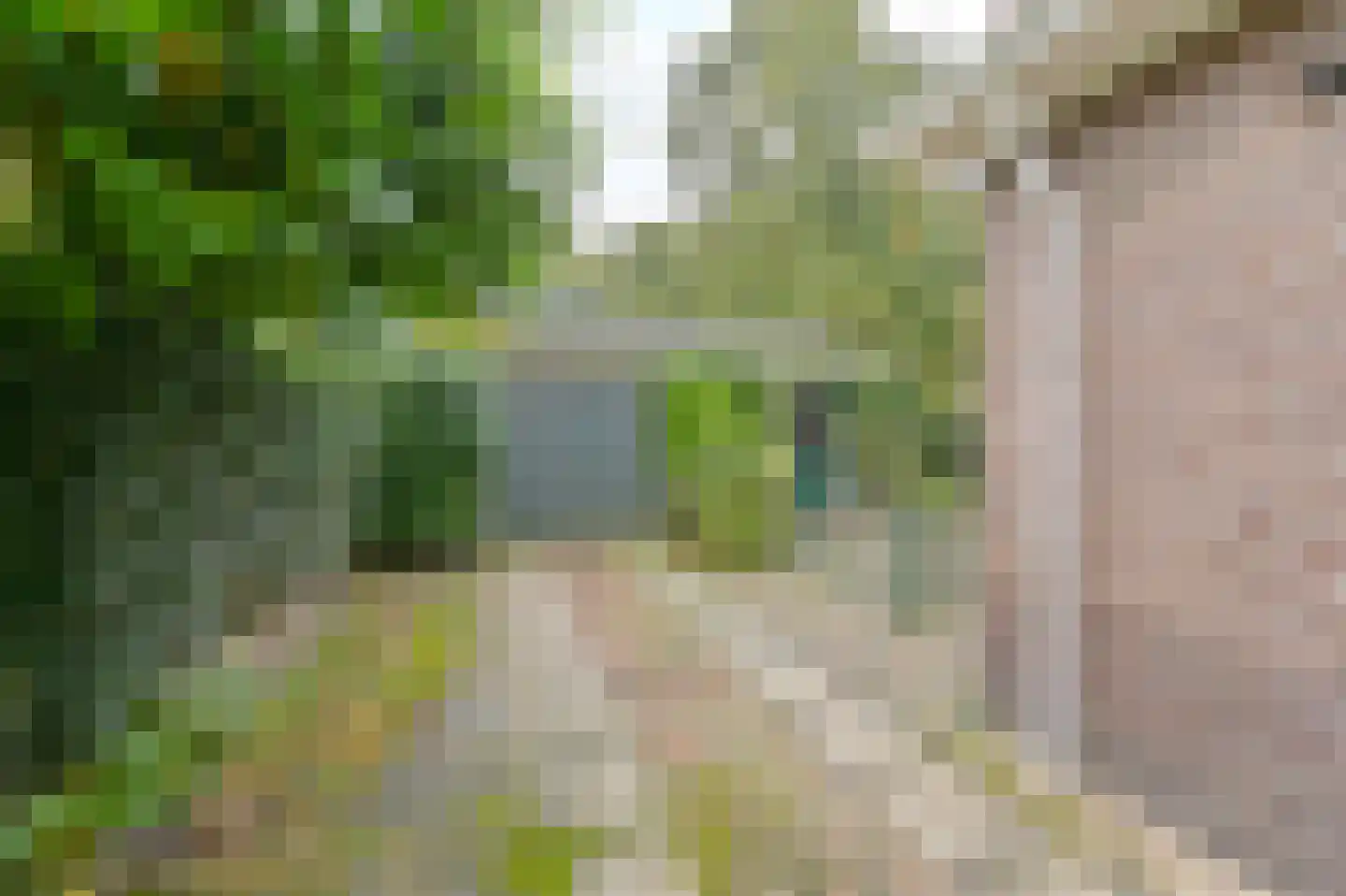Huizingsbrinkweg 64 Emmen thumbnail 48