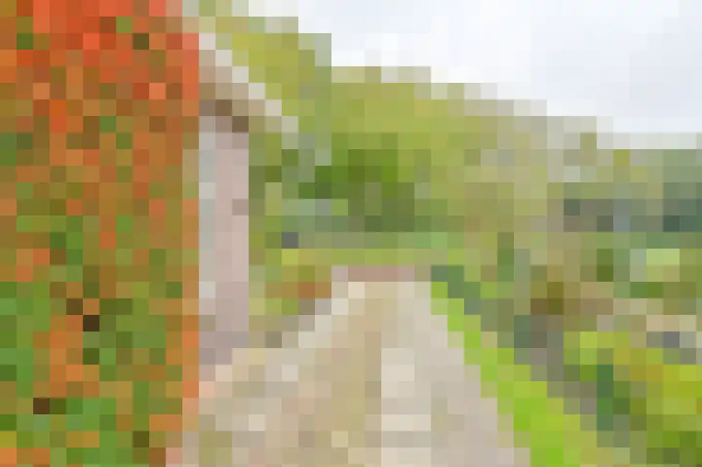 Huizingsbrinkweg 64 Emmen thumbnail 5