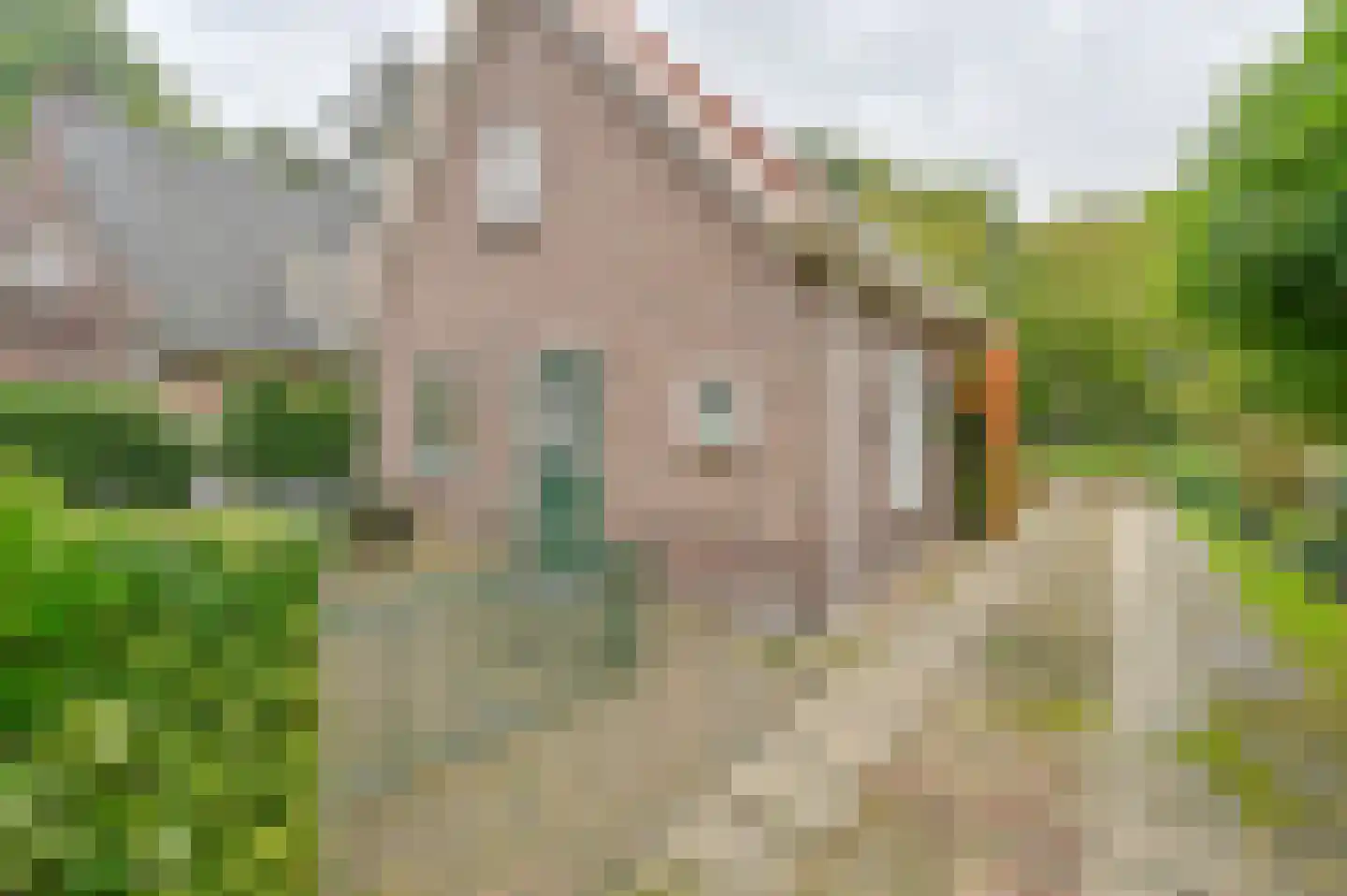 Huizingsbrinkweg 64 Emmen thumbnail 51