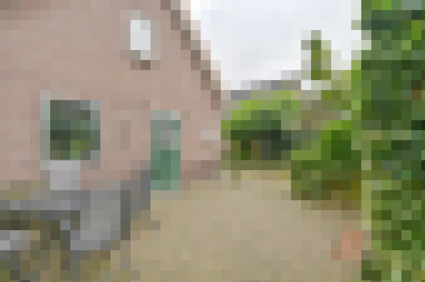 Huizingsbrinkweg 64 Emmen thumbnail 53