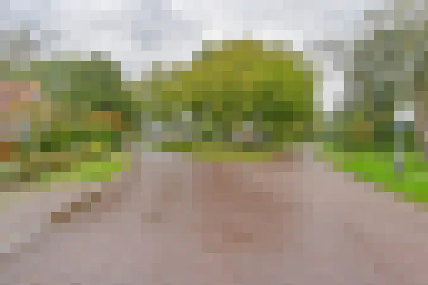 Huizingsbrinkweg 64 Emmen thumbnail 60