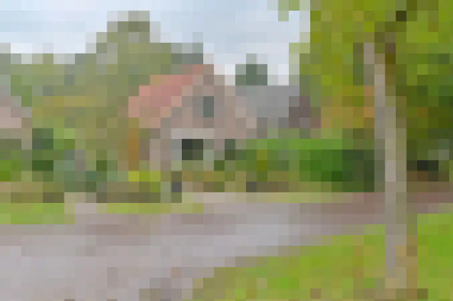 Huizingsbrinkweg 64 Emmen thumbnail 63