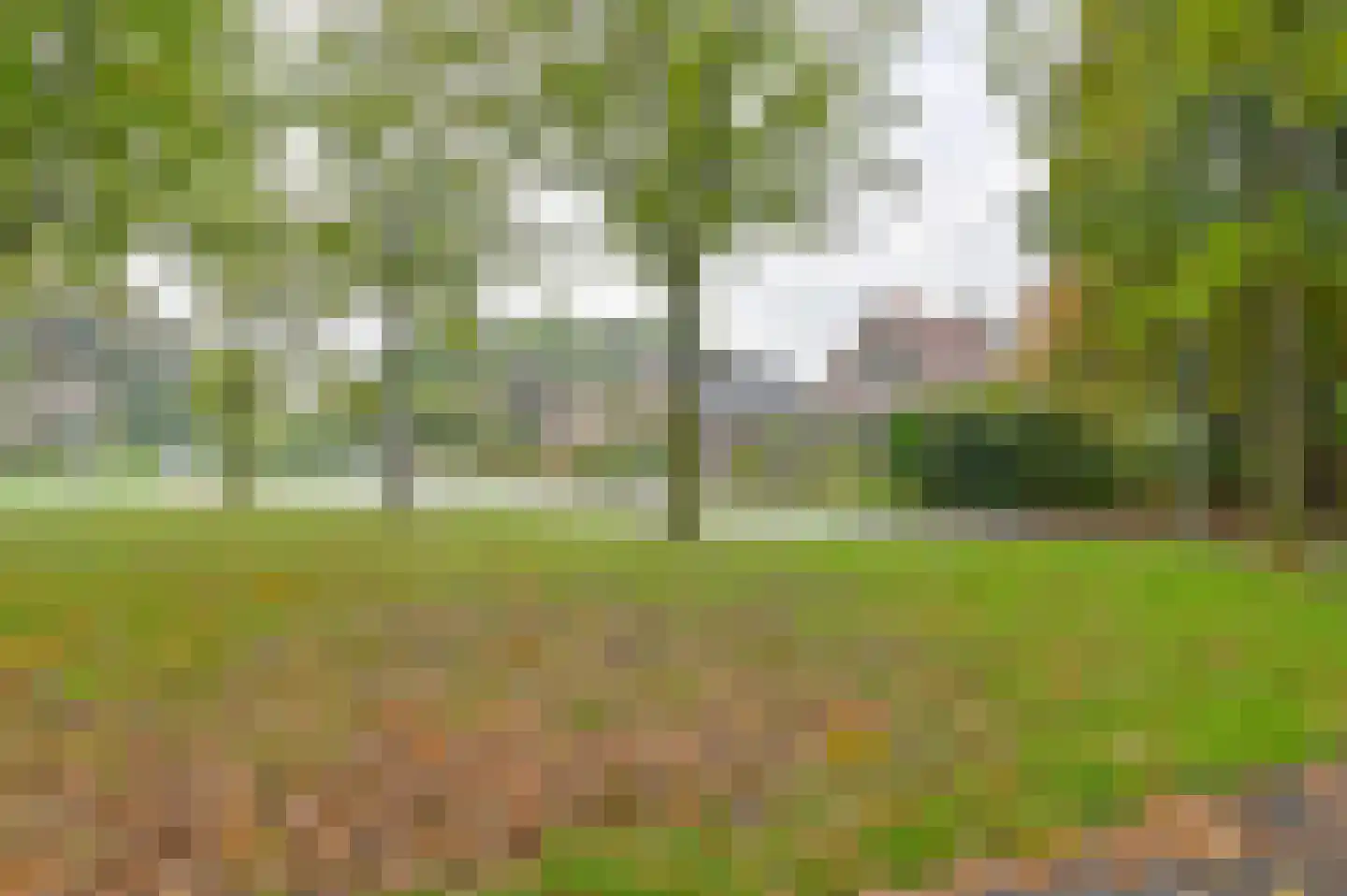 Huizingsbrinkweg 64 Emmen thumbnail 66