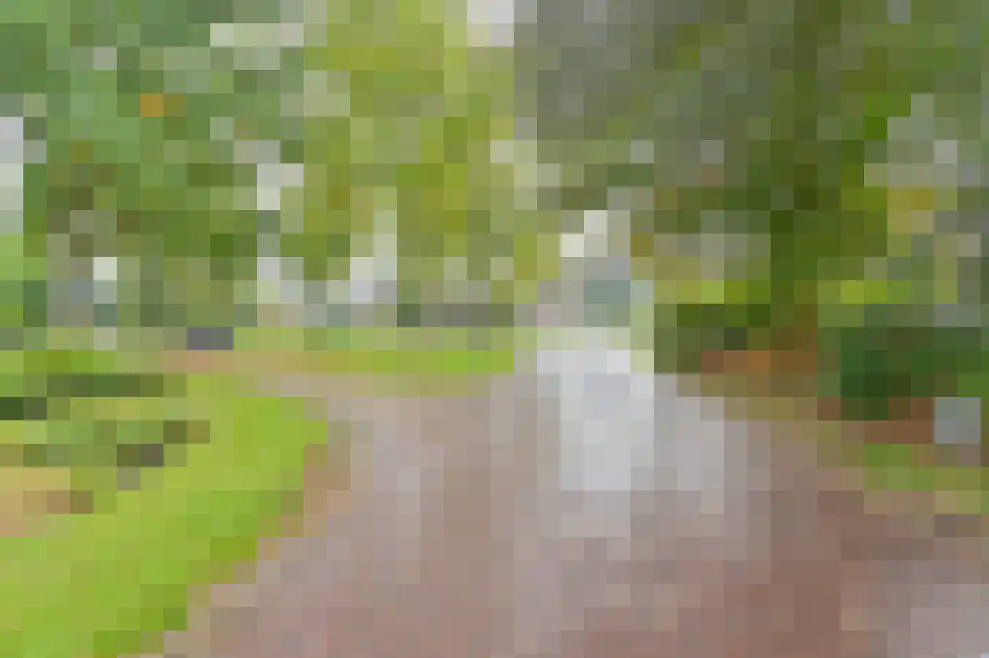 Huizingsbrinkweg 64 Emmen thumbnail 68