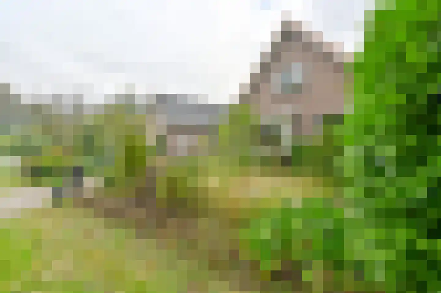 Huizingsbrinkweg 64 Emmen thumbnail 71