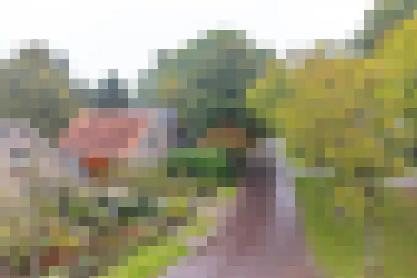 Huizingsbrinkweg 64 Emmen thumbnail 72