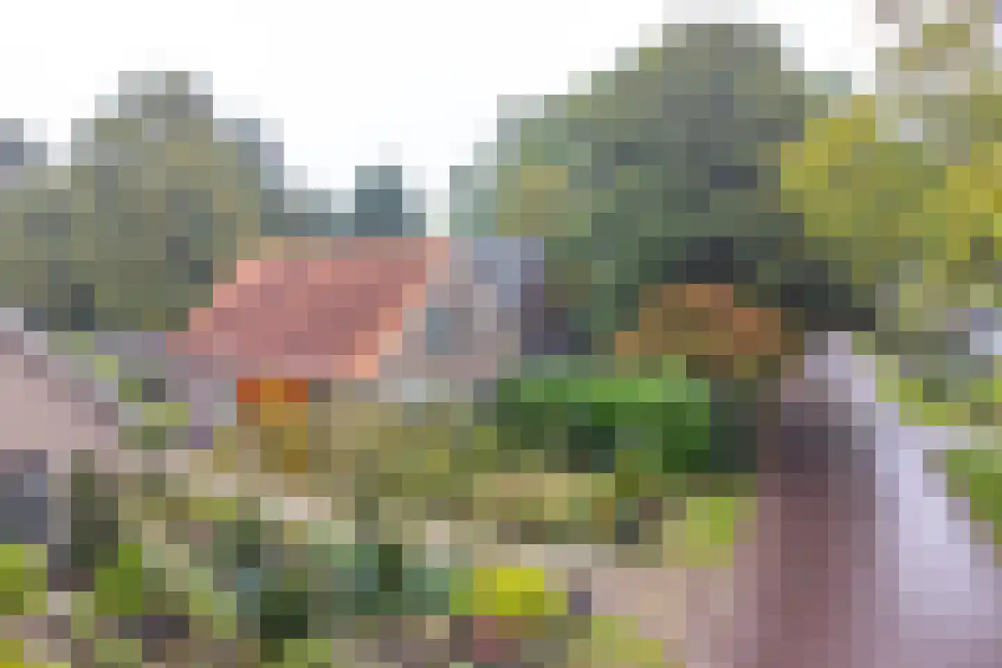 Huizingsbrinkweg 64 Emmen thumbnail 73