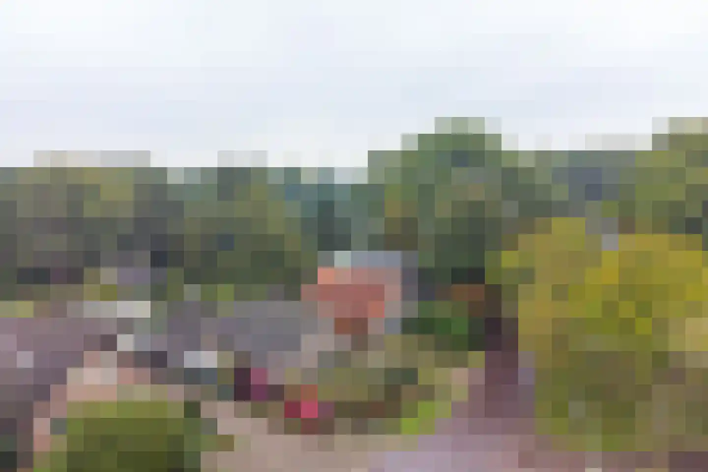 Huizingsbrinkweg 64 Emmen thumbnail 74