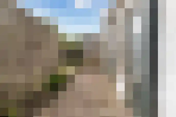 Huizum-Dorp 16 Leeuwarden thumbnail 47