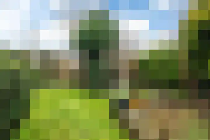 Huizumerlaan 2 Leeuwarden thumbnail 29