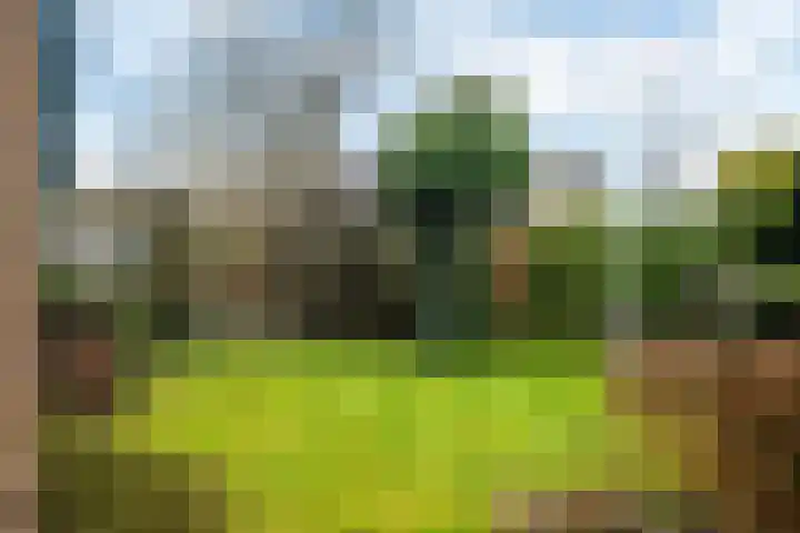 Huizumerlaan 2 Leeuwarden thumbnail 33