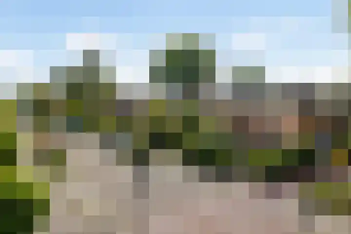Huizumerlaan 40 Leeuwarden thumbnail 42
