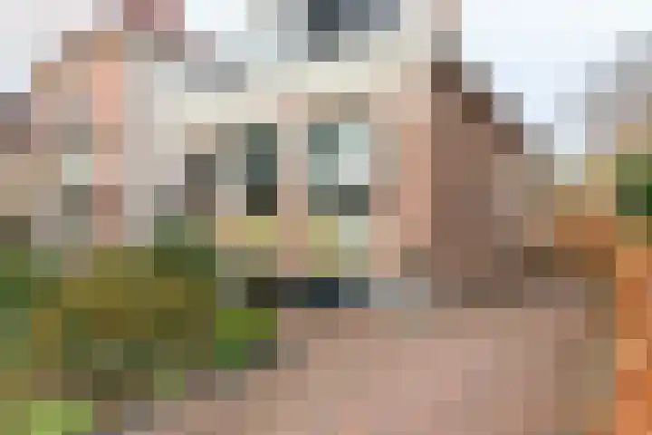 Huizumerlaan 49 Leeuwarden thumbnail 60