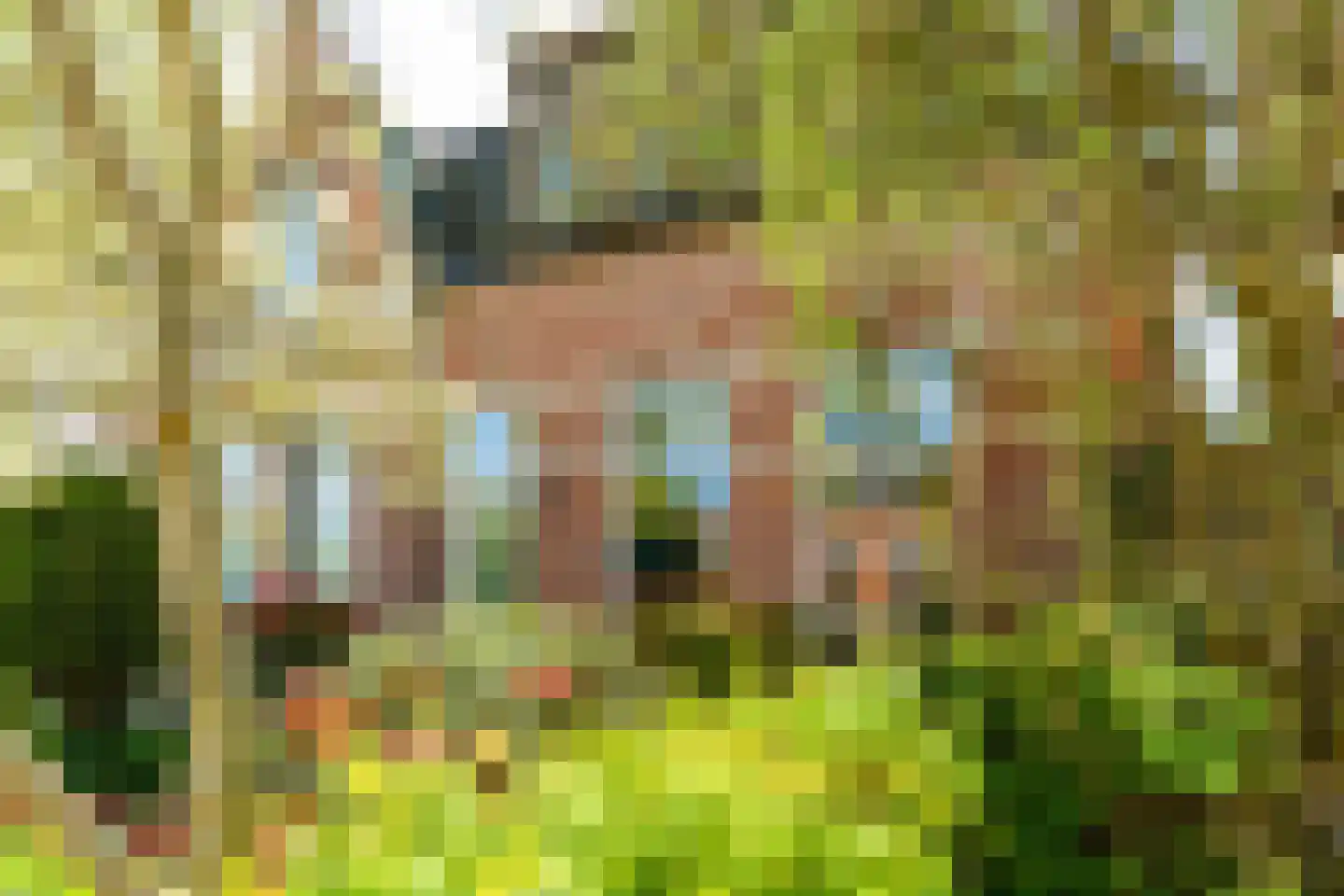Huizumerlaan 56 Leeuwarden thumbnail 4