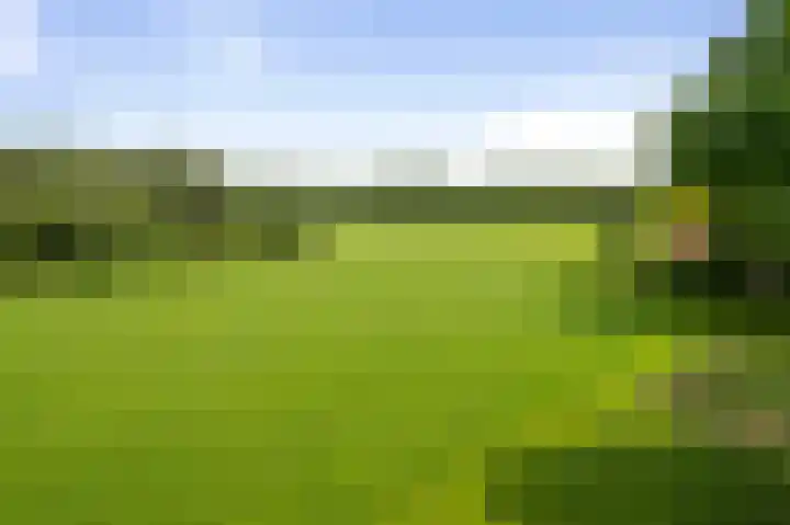 Hukkersdijk 5 Ruurlo thumbnail 11