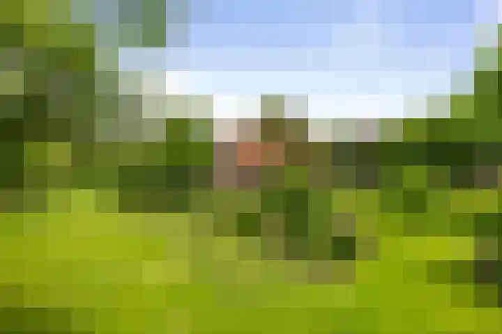 Hukkersdijk 5 Ruurlo thumbnail 14