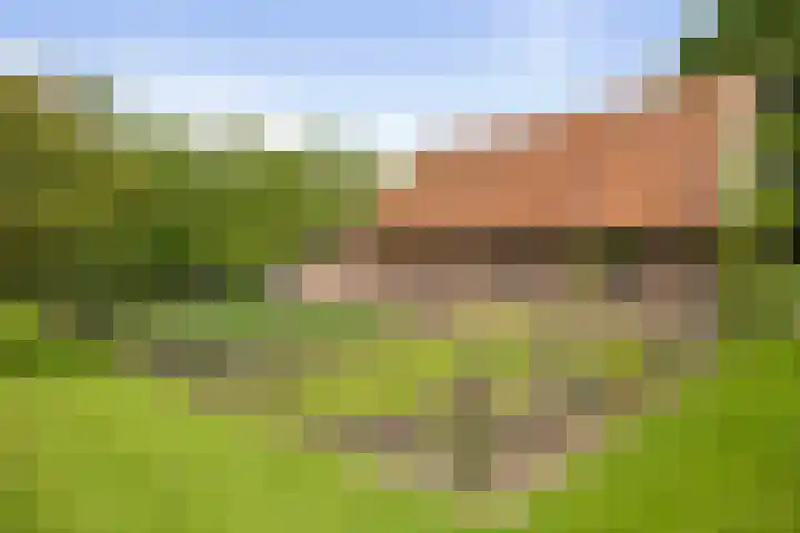 Hukkersdijk 5 Ruurlo thumbnail 15