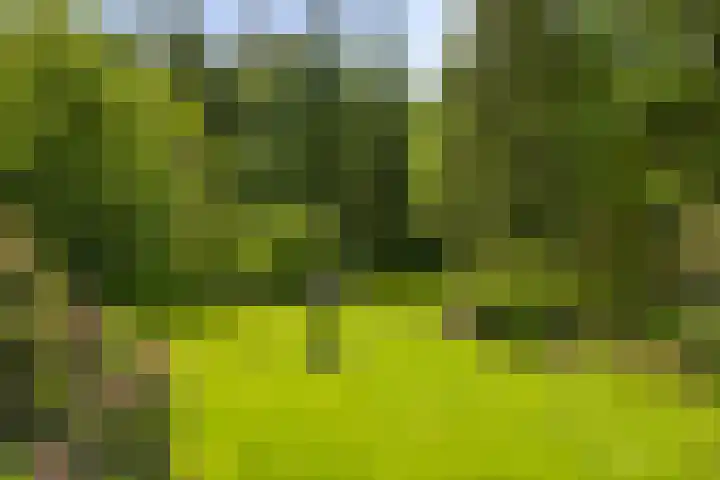 Hukkersdijk 5 Ruurlo thumbnail 17