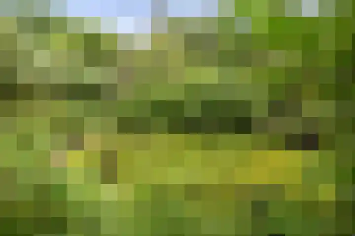 Hukkersdijk 5 Ruurlo thumbnail 21