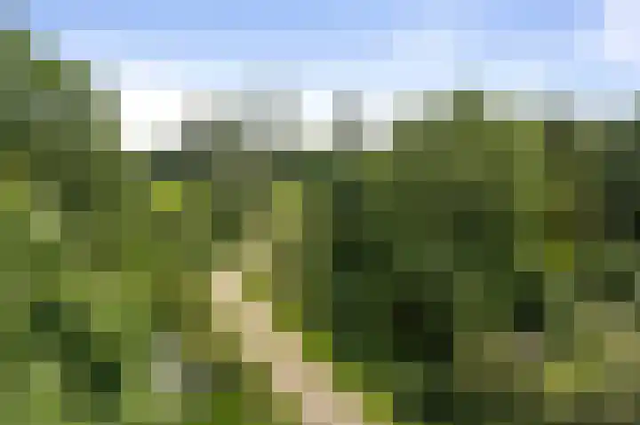 Hukkersdijk 5 Ruurlo thumbnail 9