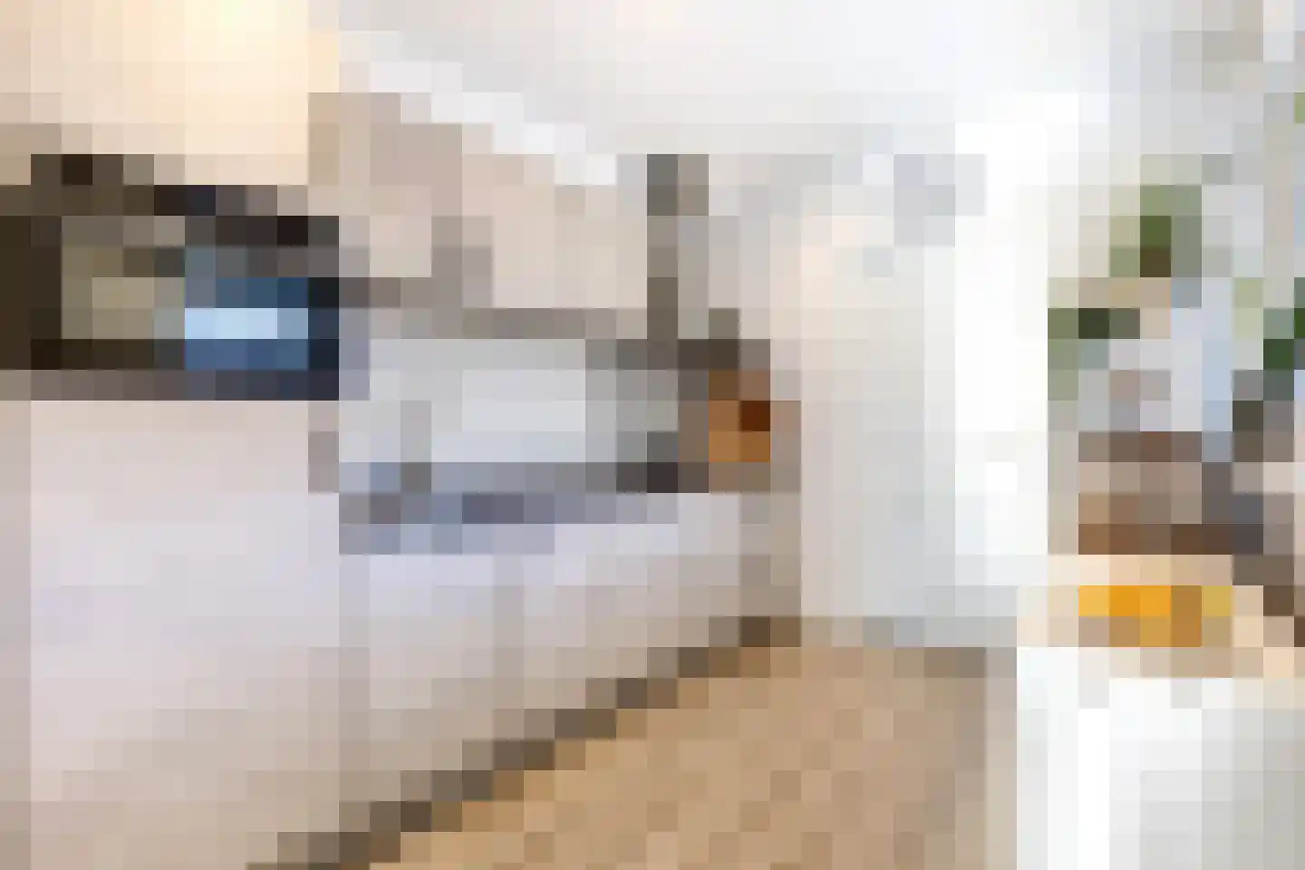 Hul 1 Amerongen thumbnail 11