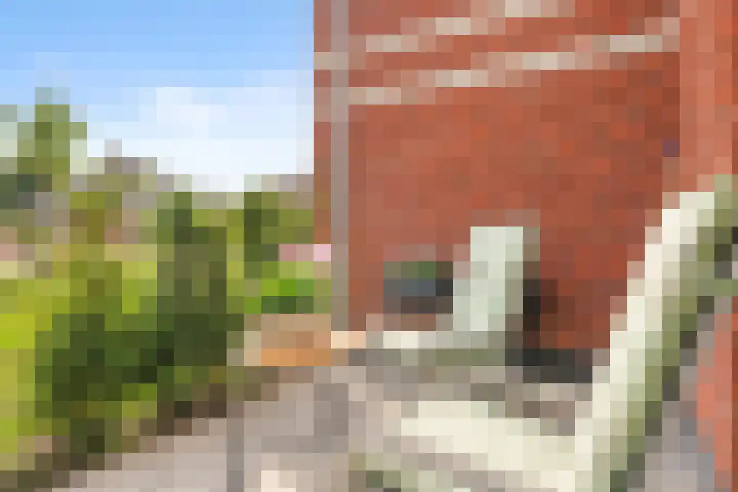Hulakker 12 Lunteren thumbnail 28