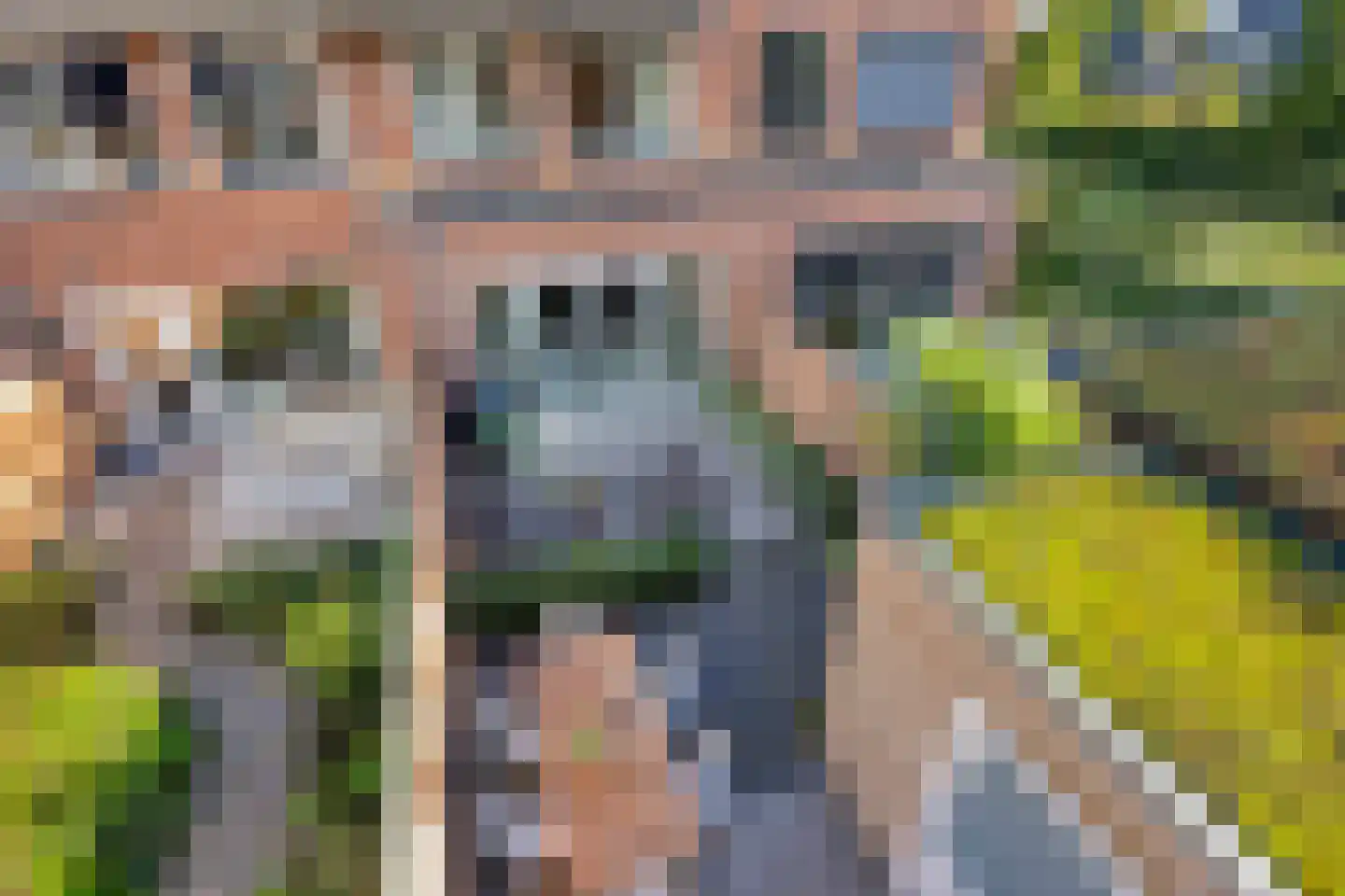 Hulakker 140 Lunteren thumbnail 34