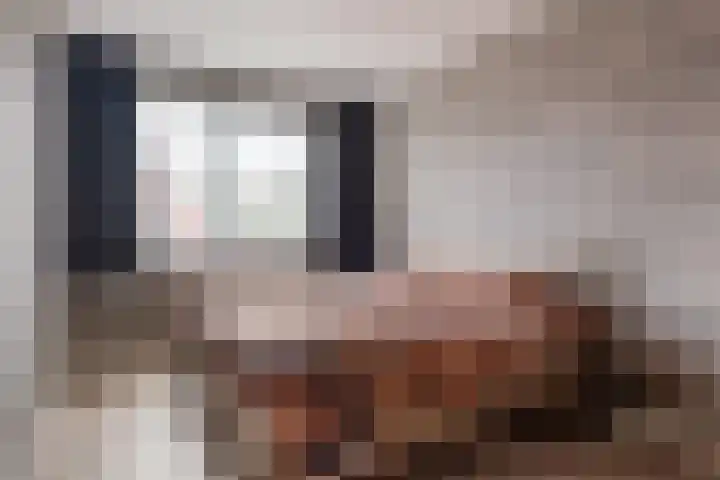Hulakker 88 Lunteren thumbnail 10