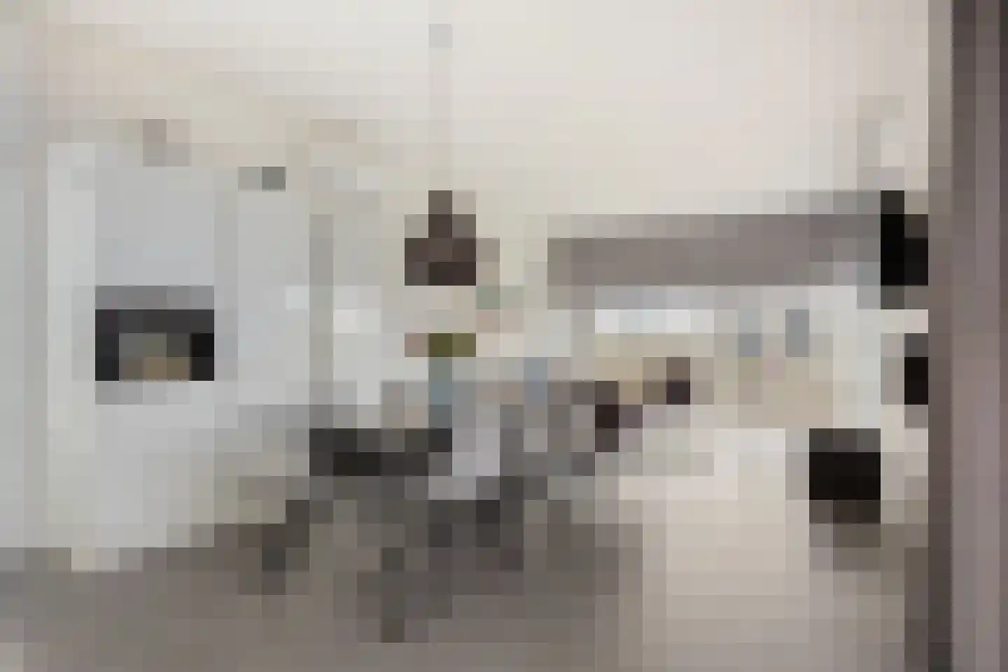 Hulckesteijn 25 Nijkerk thumbnail 18