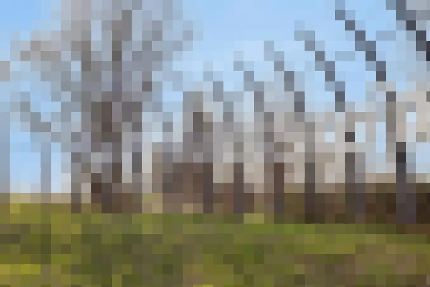 Hulckesteijn 25 Nijkerk thumbnail 33
