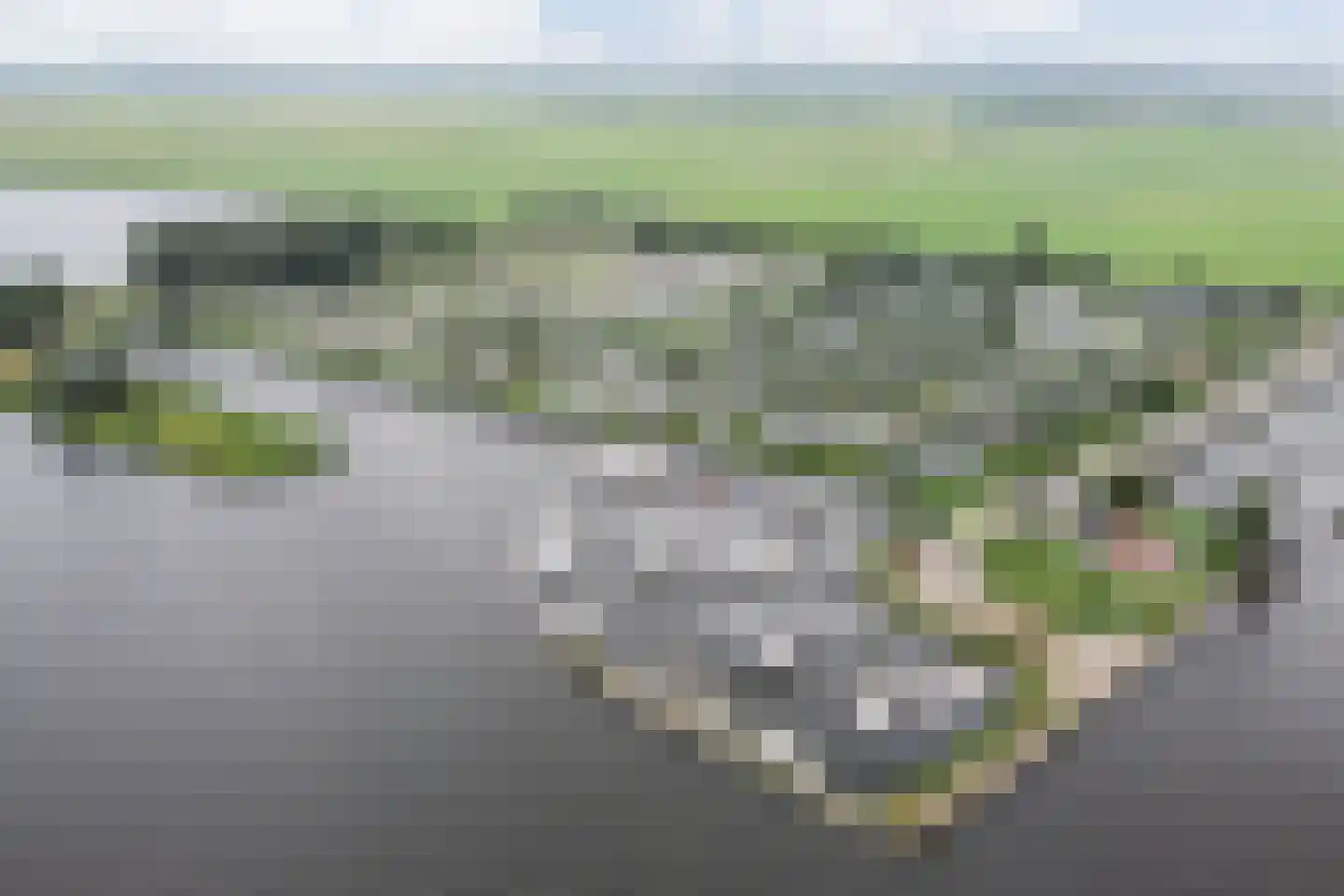 Hulckesteijn 25 Nijkerk thumbnail 40